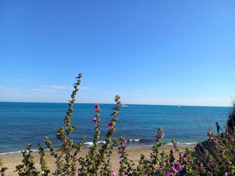Studio Port Du Cap D'แอกด์ ภายนอก รูปภาพ